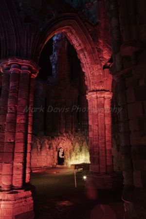 whitby abbey goth festival 5.jpg